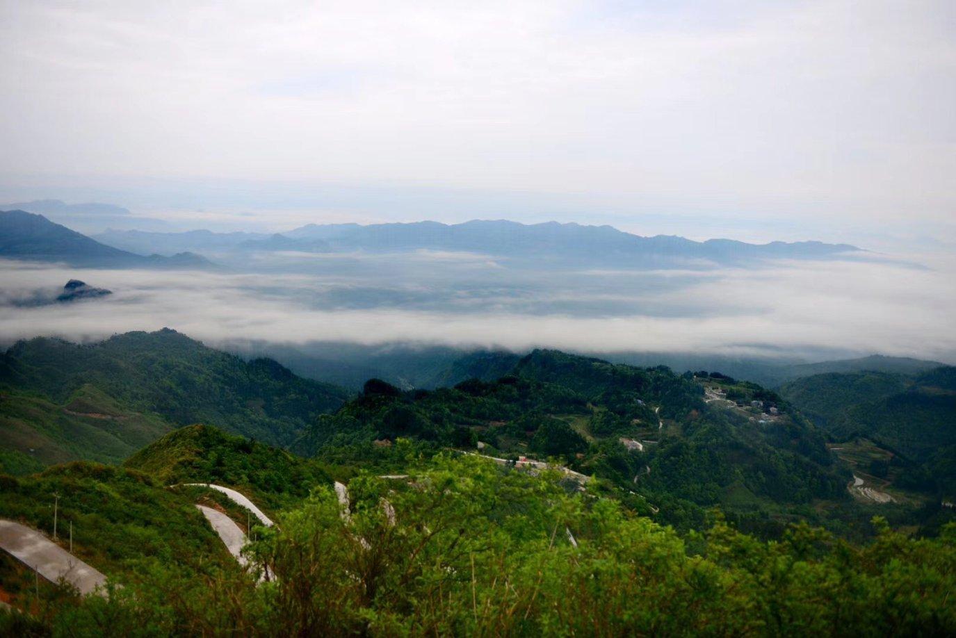 敏感肌护肤福音:植物医生推出青刺果轻敏修红面膜