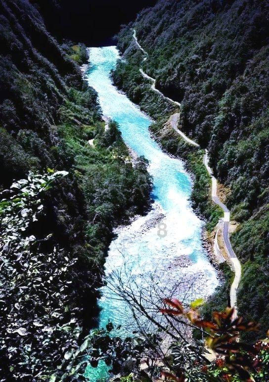 盐城市大丰区荷兰花海文化传播交流中心