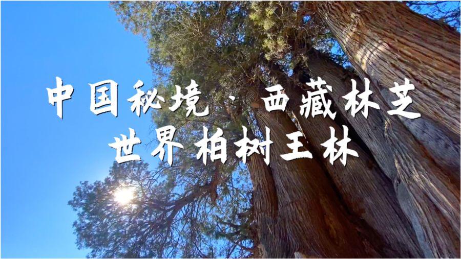 梯形面积公式括号上底加下底乘高除二可不可以把括号省略直接说上底和下底的和？