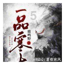 寂静森林找星星