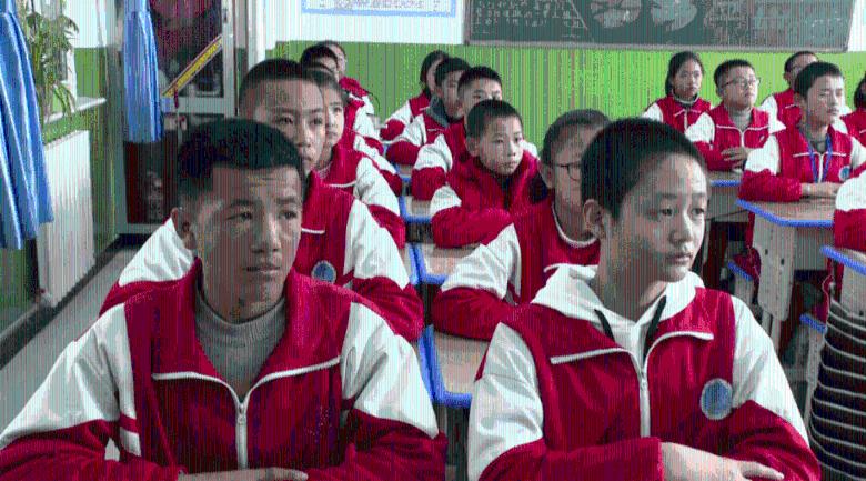 部分省人大代表在汾阳市调研