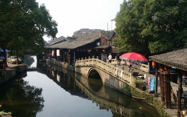 动物帮帮忙保卫家园